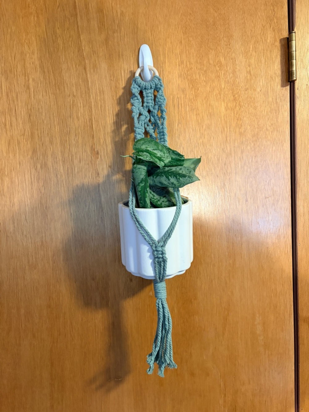 Handmade Macrame Plant Hanger. PLANT AND POT NOT INCLUDED.